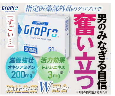 疲労回復、健康維持のため男のみなぎる自信を取り戻すグロプロをおすすめ